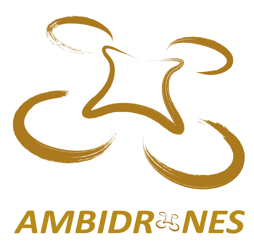 Ambidrones Logo